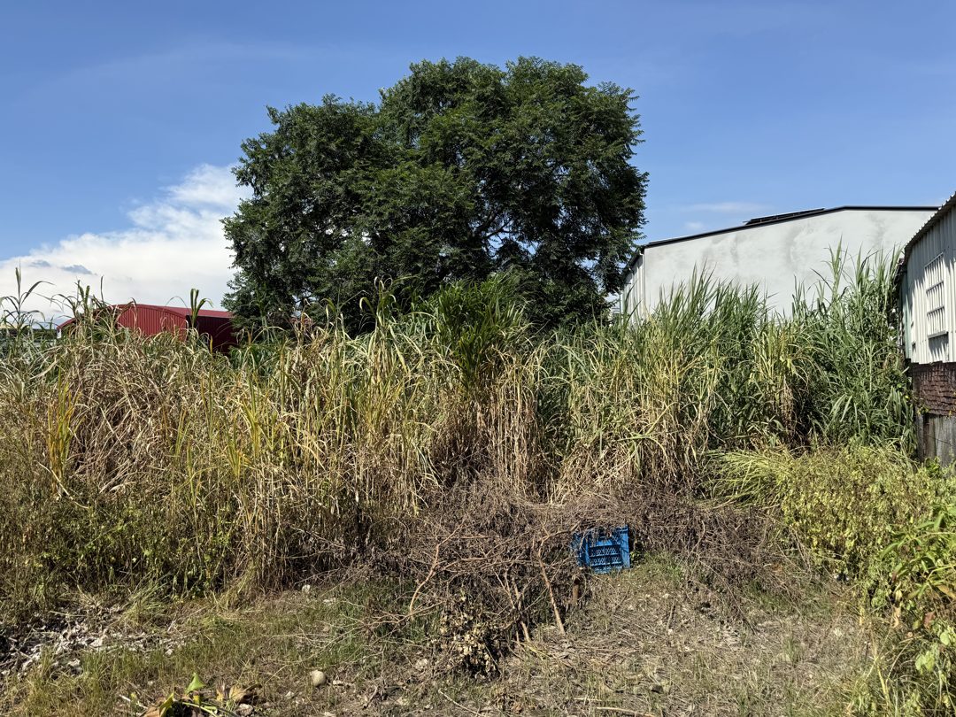 南投市區 正十米路乙工建地 南投市南投段・家樂福商圈 照片5