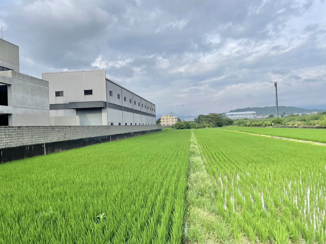 草屯正碧興路 550坪臨24米大路農地 草屯碧興路・近台78快速道路 照片7