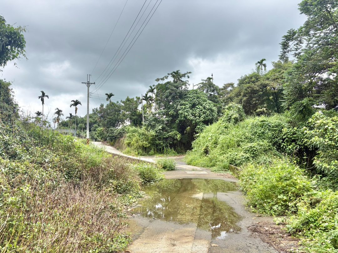 草屯平林國小旁 962坪九九峰景觀農地 草屯平林・平林國小旁 照片12