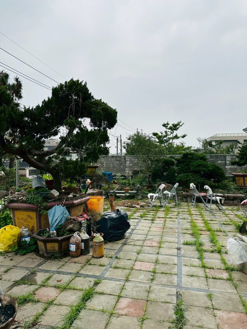 中興新村核心 964坪超大地坪農舍 南投市營中路・中興新村核心 照片3